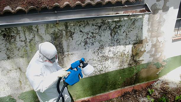 Top rated local Attic Mold Remediation specialists in Great Falls, VA